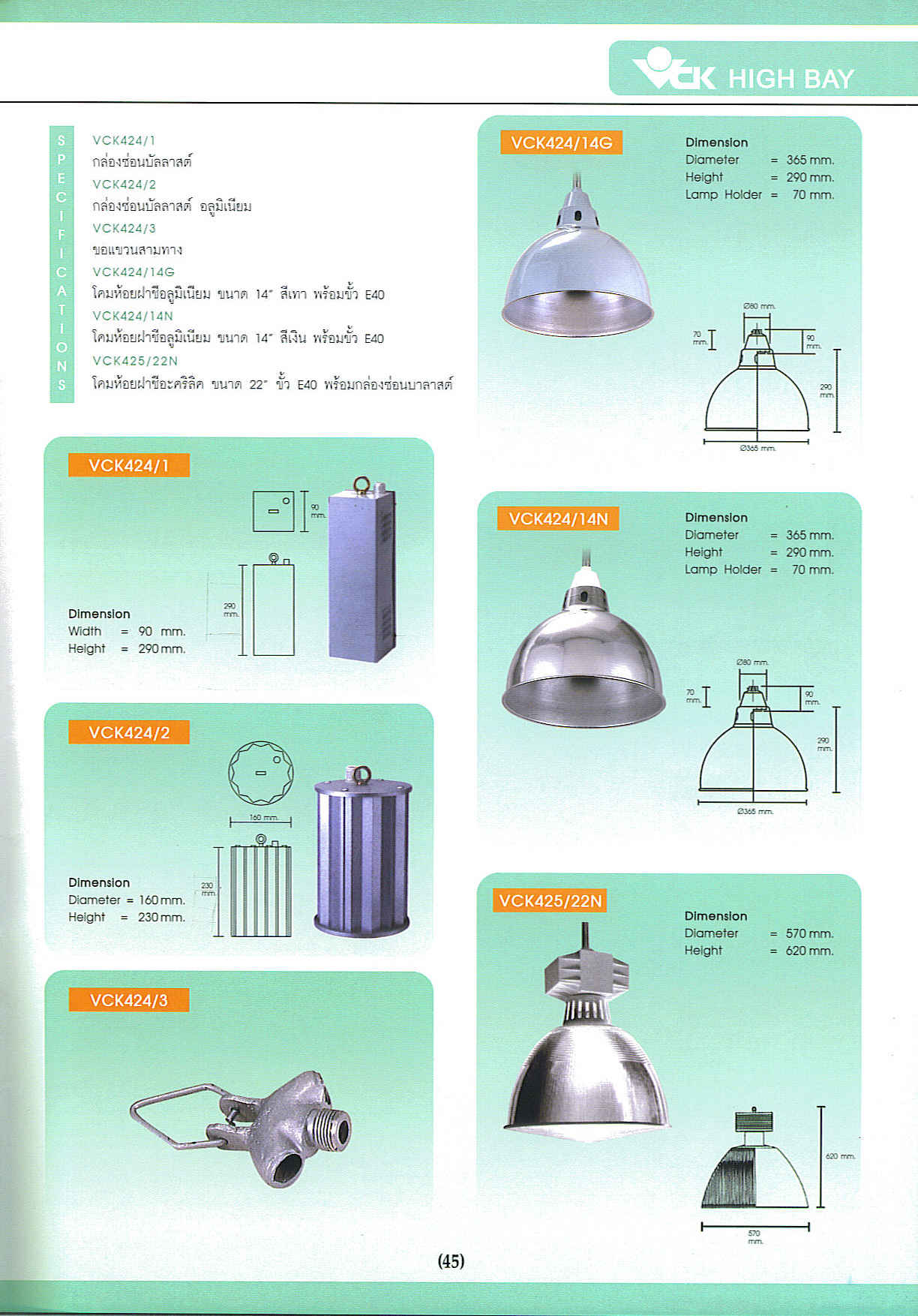 Page 45
